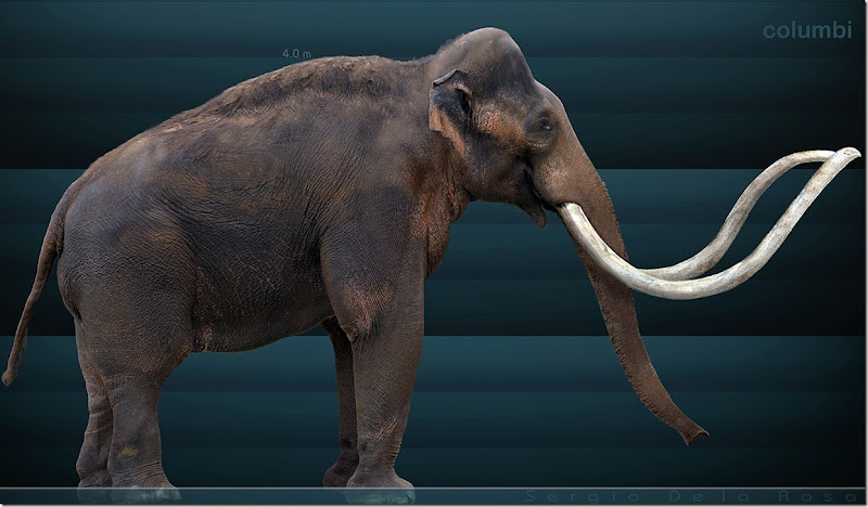 columbian_mammoth_by_serchio25