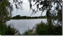 View of Fox Lake