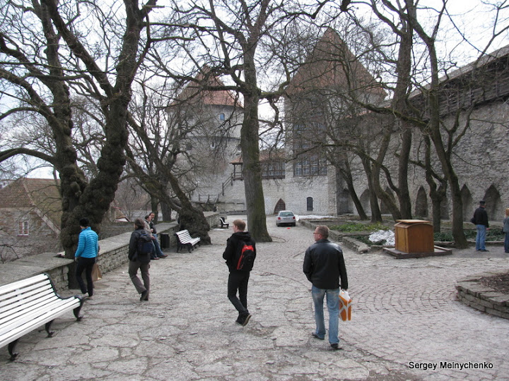 Четыре часа по улицам старого Таллина… (Фото)