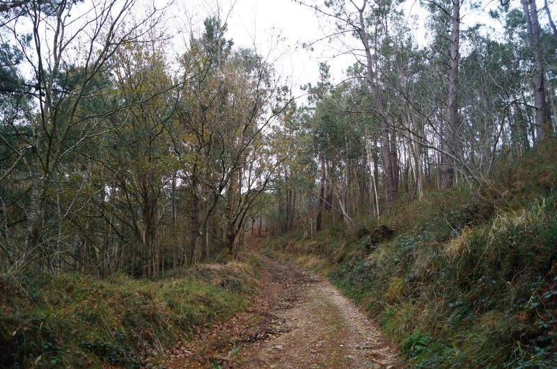 Pico Paradiella (Valdés-Cudillero) - Descubriendo Asturias (30)