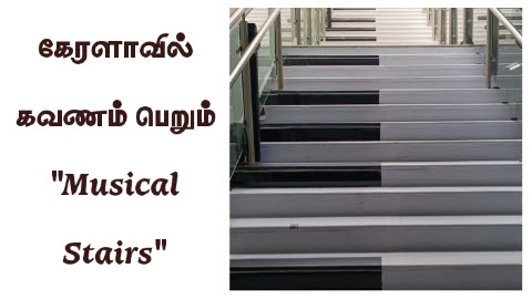 கேரளாவில் கவணம் பெறும் இசைப் படிக்கெட்டுகள்! Trending Musical Stairs in Karela 