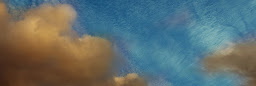 Profile cover photo