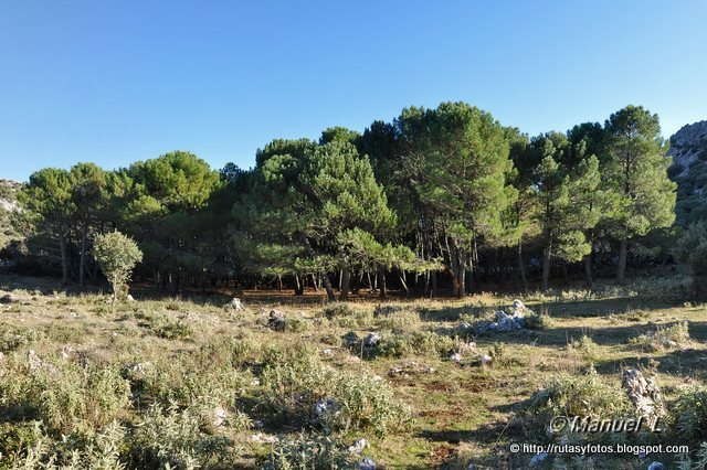 Benaocaz-Jauletas-Coargazal-Puerto del Boyar