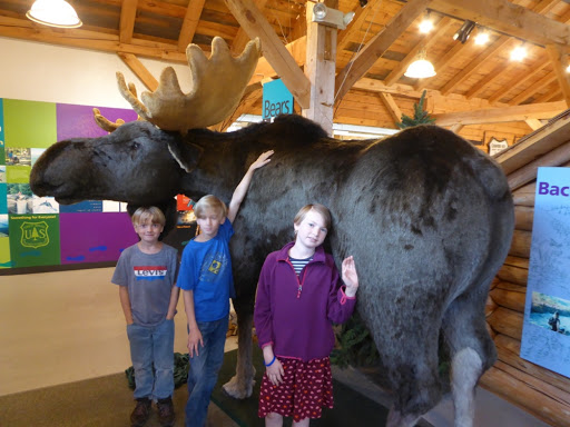 Moose