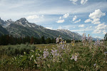 Grand Tetons National Park