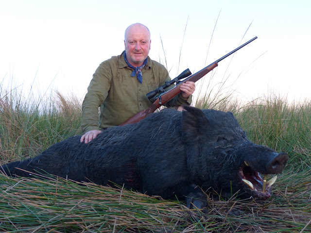 Water Buffalo Hunting Safaris