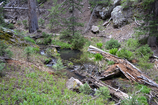 pool along Mill Creek