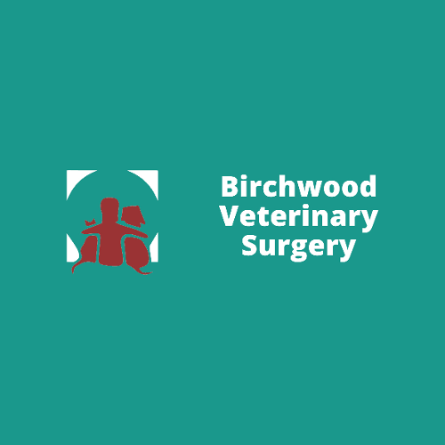 Willows Veterinary Group - Birchwood Vets