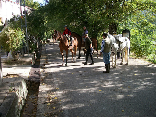 ¿Quién se viene a Orcera a estrenar un hotelito? (6-7 de Octubre) - Página 6 100_3620