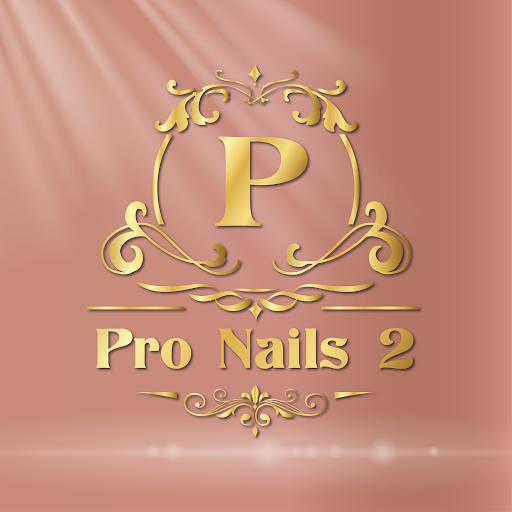 Pro Nails 2 logo