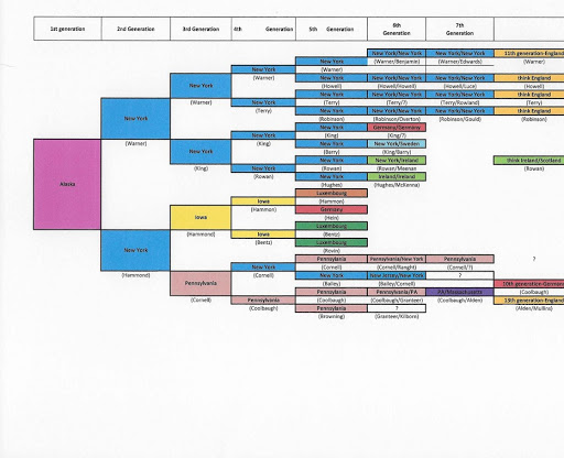 Family Dna Chart