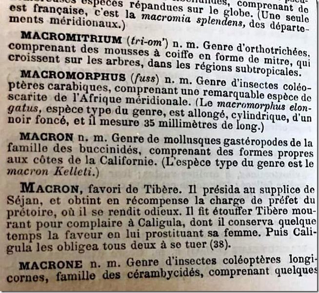 macron-dic-web