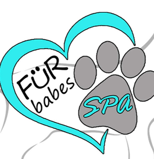 Für Babes Spa Pet Grooming logo