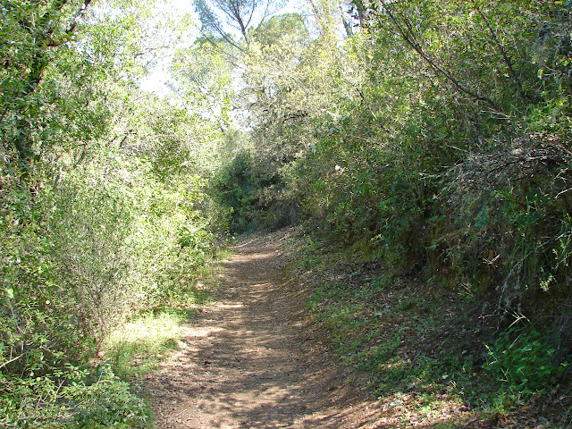 Senderismo - Baños de Popea -  Arroyo de Bejarano