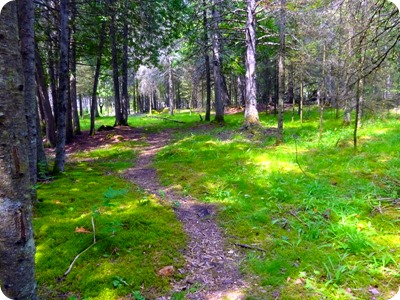 Wm Derby Nature Preserve