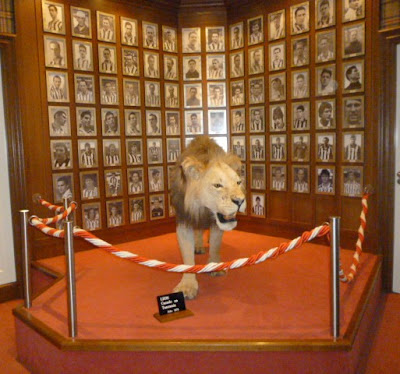 Resultado de imagen de fotos del leon del museo del athletic