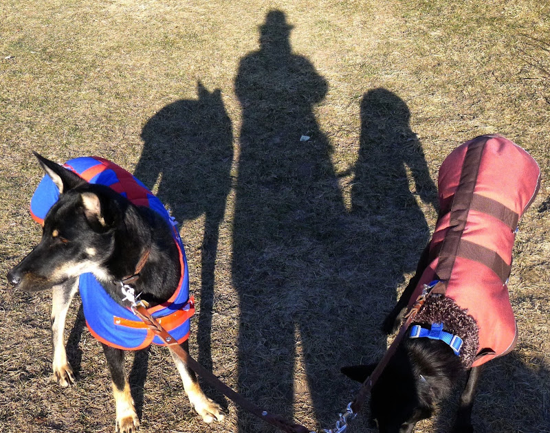 P1050779.JPG