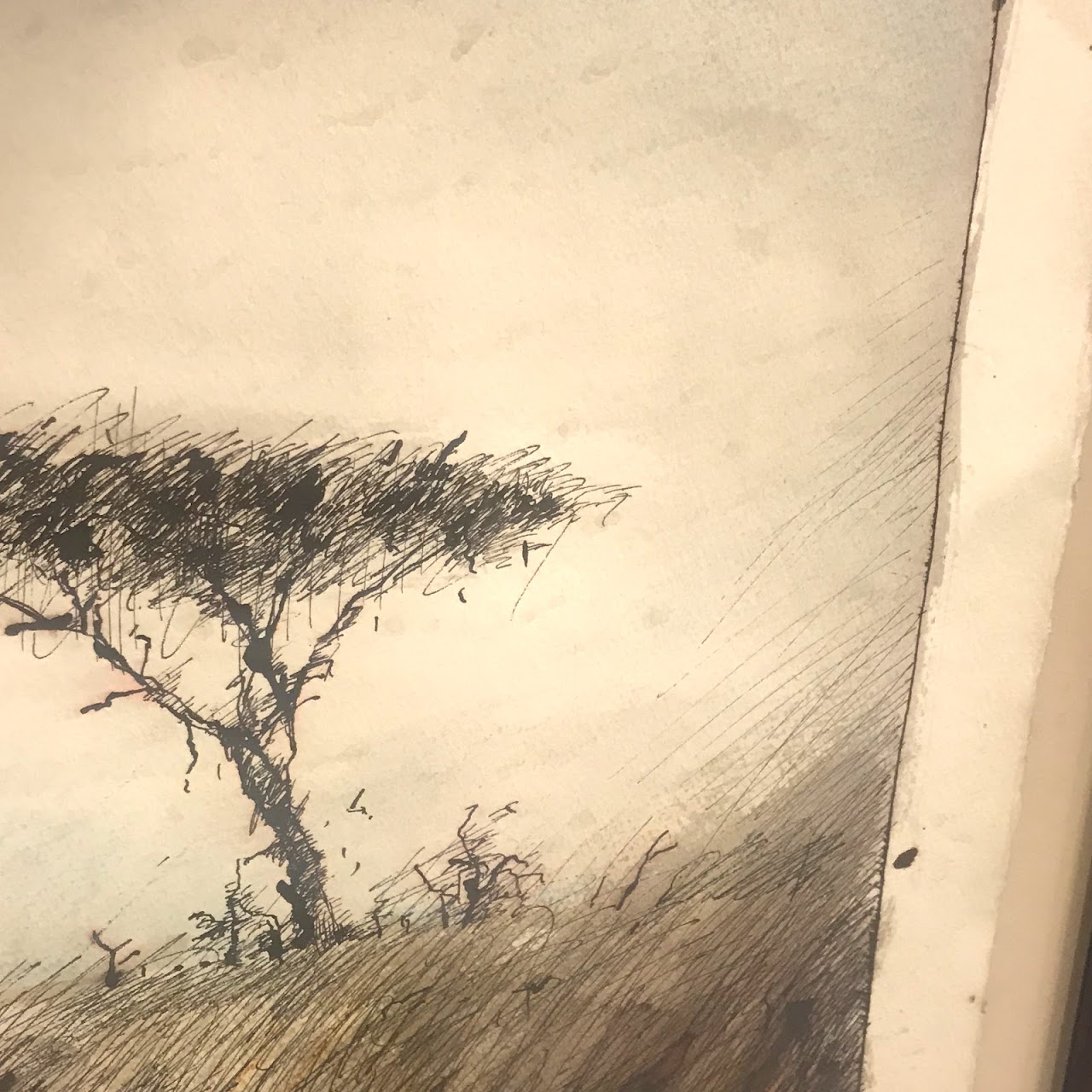 Signed South African Landscape Drawing