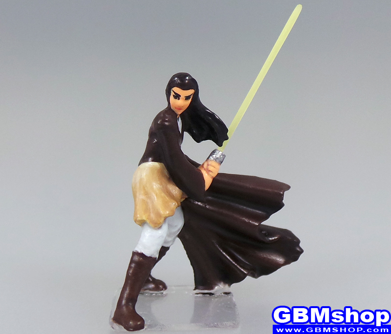 star wars miniature Imperial Assault Leia Organa Solo Skywalker Jedi Knight #30 Jedi Academy Star Wars Miniatures Custom Customize and Painting