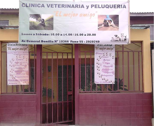 El mejor amigo, Av. Óscar Bonilla 10366, Antofagasta, Región de Antofagasta, Chile, Cuidado veterinario | Antofagasta