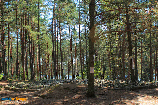 Kamienne Kręgi Gotów w Węsiorach 