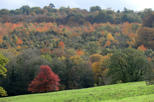 CIMG0190 View from Grinstead Wood