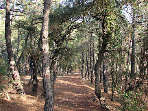 Senederismo: Onda - Pepes - Montí - Coves Gelades