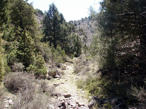 Barranco de la Hoz