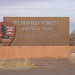 Petrified Forest NP, NM