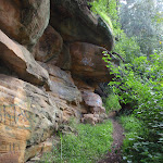 Track below cliffs on the Nepean River (146721)