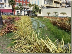 20160410_garden near promenade (Small)