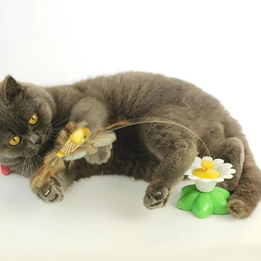 Interactive Cat Toy Automatic Rotating Flying Butterfly Electric Hummingbird Flying Rotating Butterfly