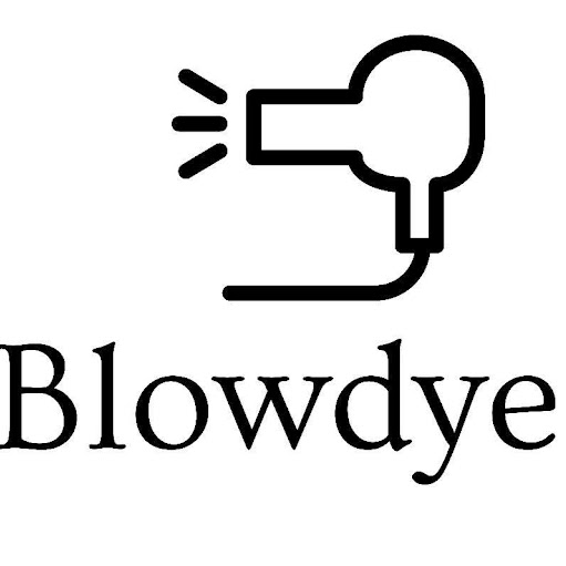 Blowdye Salon logo
