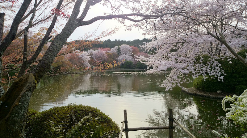 DSC 1695 - REVIEW - ANA Crowne Plaza Kyoto