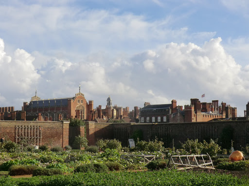 CIMG6693 Royal Kitchen Garden, Hampton Court Palace