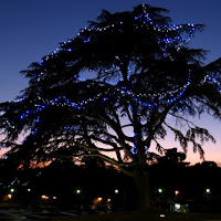 L'ultimo Natale di 