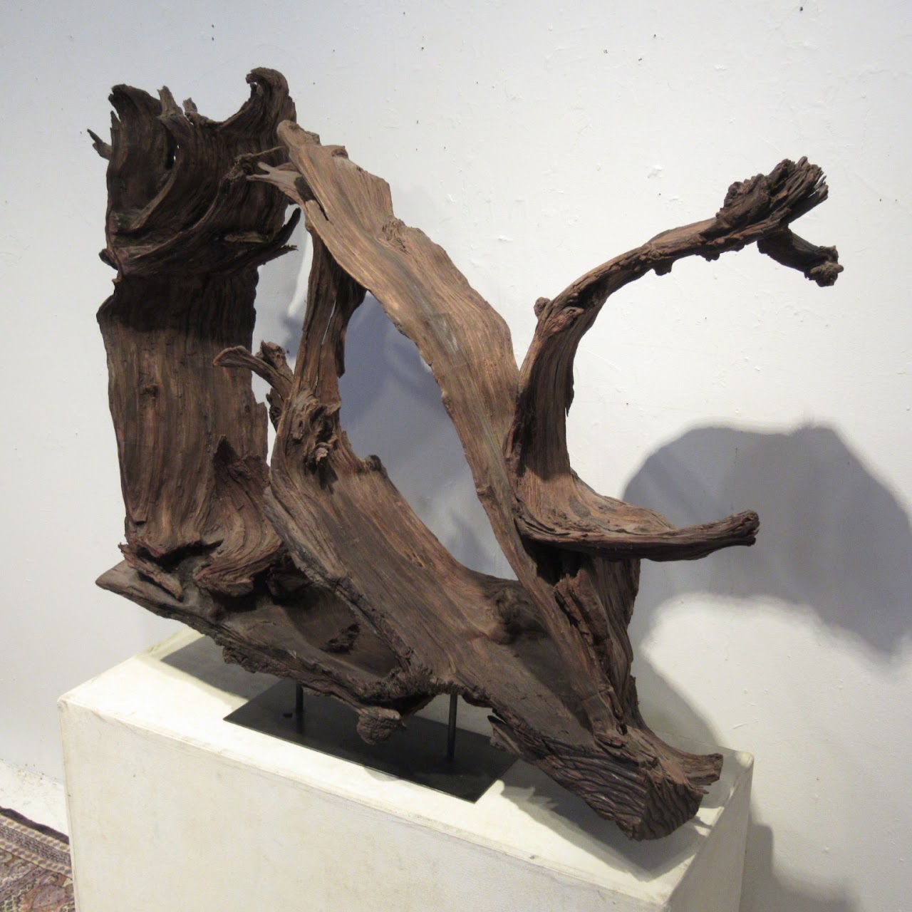 Large-Scale Driftwood Assemblage