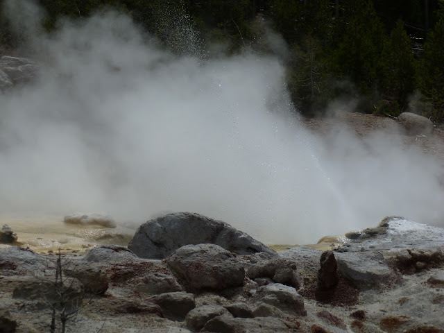 PN Yellowstone. Madison. Valle río Gibbon. Norris Geyser Basin. 12 Julio - LAS ROCOSAS DE CANADA. YELLOWSTONE Y GRAND TETON. (20)