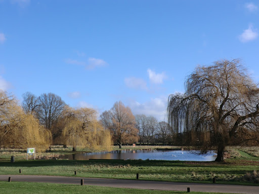 CIMG2895 Overflow Pond, Home Park