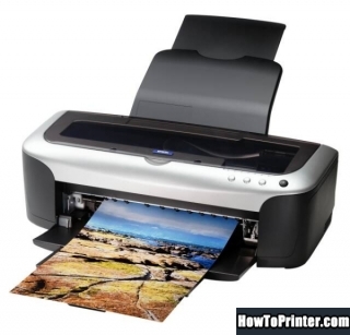 Reset Epson 2100 printer with Resetter program