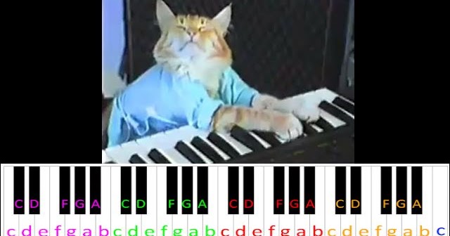 Sad Cat - piano tutorial