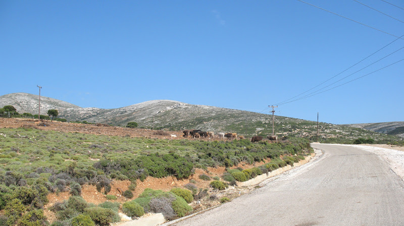 Tour to Skyros Island - Greece IMG_1557