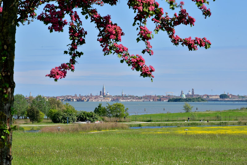 Parco San Giuliano di renzo brazzolotto