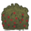 파일:external/rimworldwiki.com/Raspberry_Bush.png