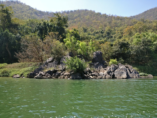 Satkosia, Hakim Pada Udyan, Hakimapada, Angul, Odisha 759106, India, Nature_Reserve, state OD