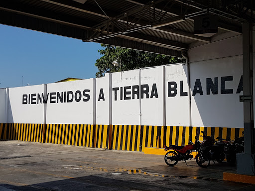 ADO, 95100, Aquiles Serdán 502, Centro, Tierra Blanca, Ver., México, Estación de pesaje | GTO