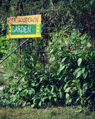 cheri b garden