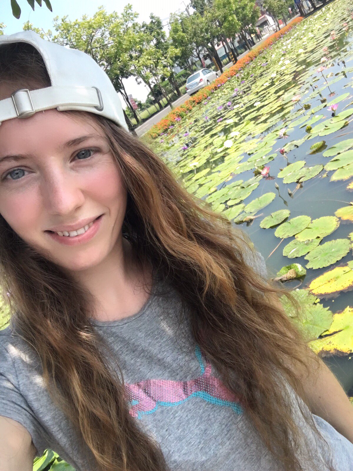 lotus water lilies , taiwan,  tainan,  beihe