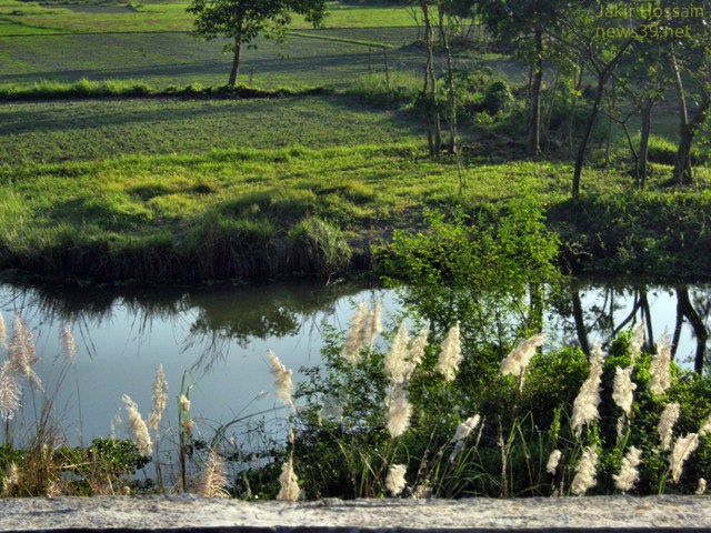 Photo of the Week