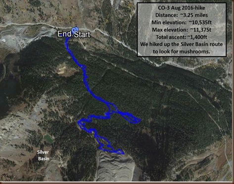 Ouray-3 Aug 2016-hike